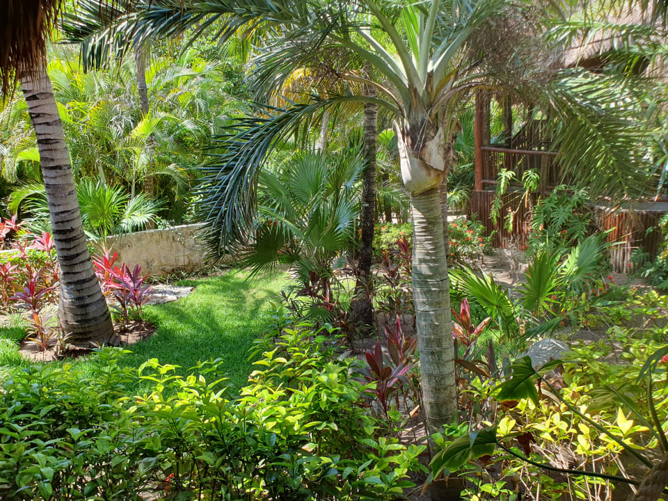 Gartenanlage Akumal Bay Beach & Wellness Resort