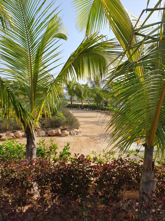 Gartenanlage Hotel Riu Palace Boavista