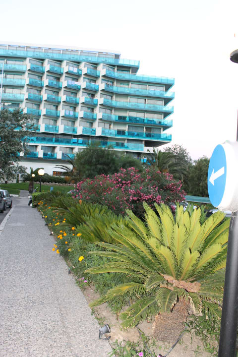 Gartenanlage Hotel Calypso Beach