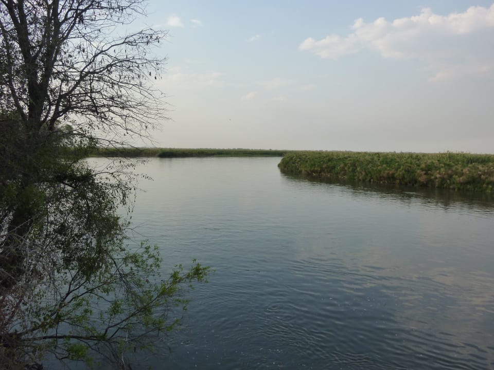 Fluss mit den Papyrussümpfen Lawdons Lodge