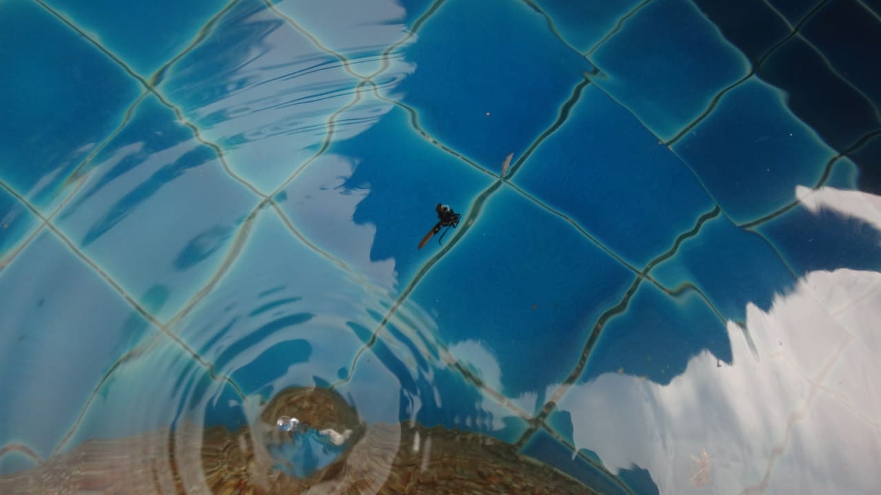 Zimmer Panviman Resort Koh Phangan