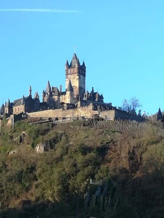 Ausblick Moselstern Hotel Brixiade & Triton