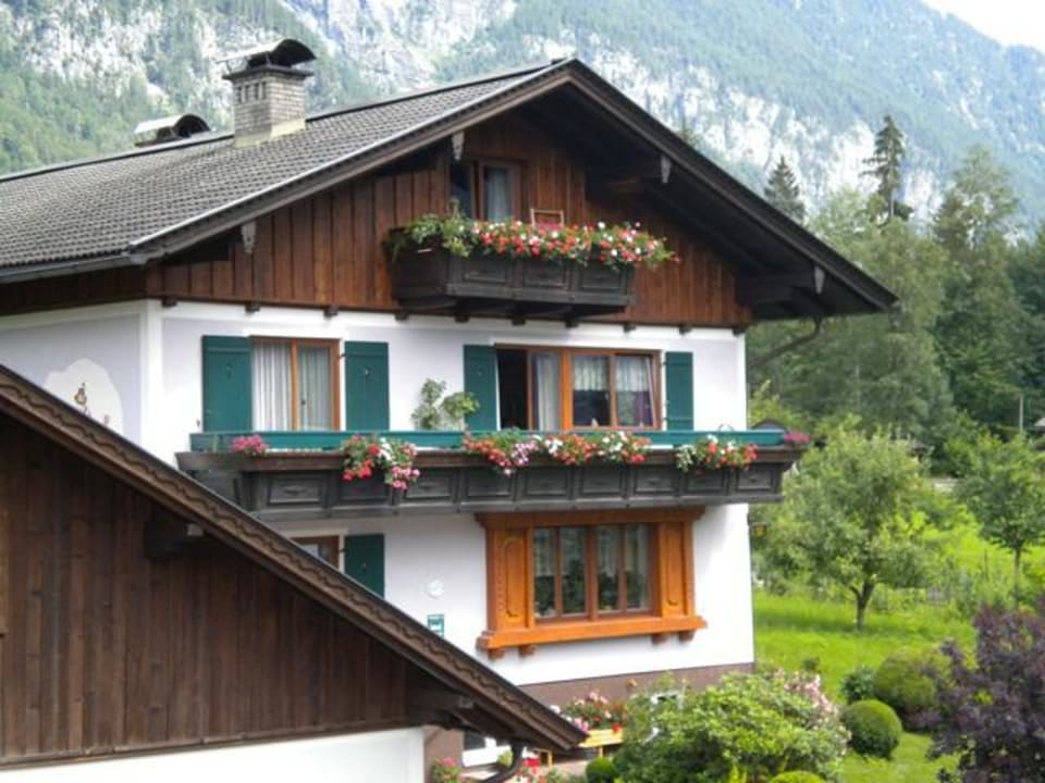 Sommerbild Ferienwohnung Edith Grill