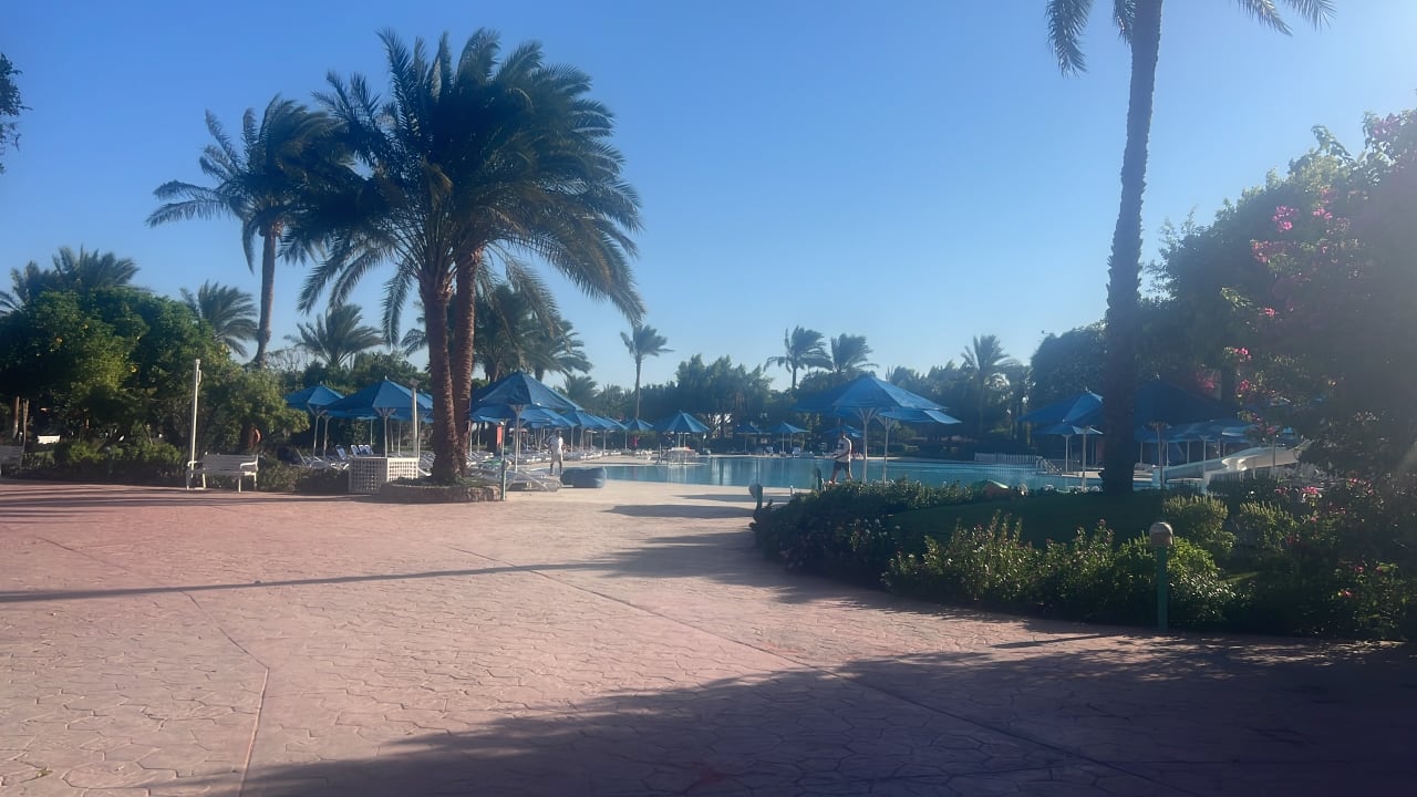 Ausblick Desert Rose