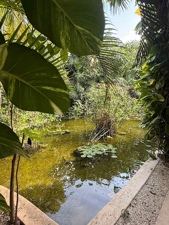 Gartenanlage Secrets Akumal Riviera Maya - Adults only