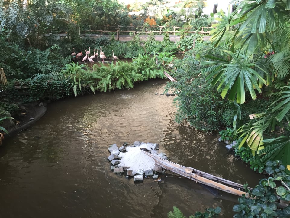 Gartenanlage Tropical Islands Resort