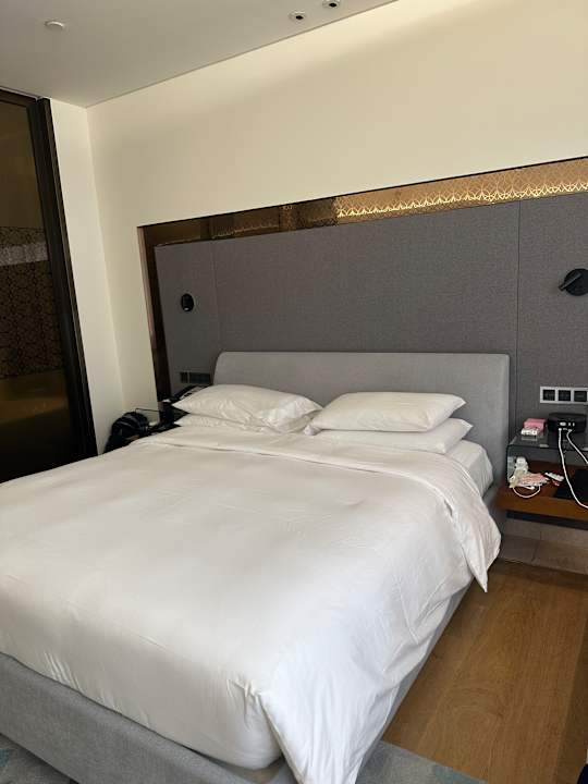 Zimmer Park Hyatt Abu Dhabi Hotel and Villas