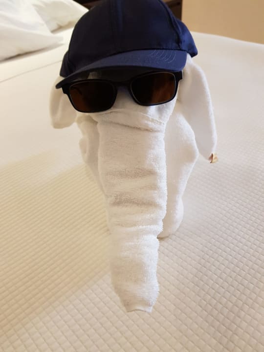 Zimmer TUI BLUE Oceanis Beach and Spa Resort