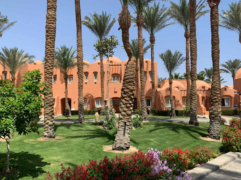 Gartenanlage Jaz Makadi Oasis Resort