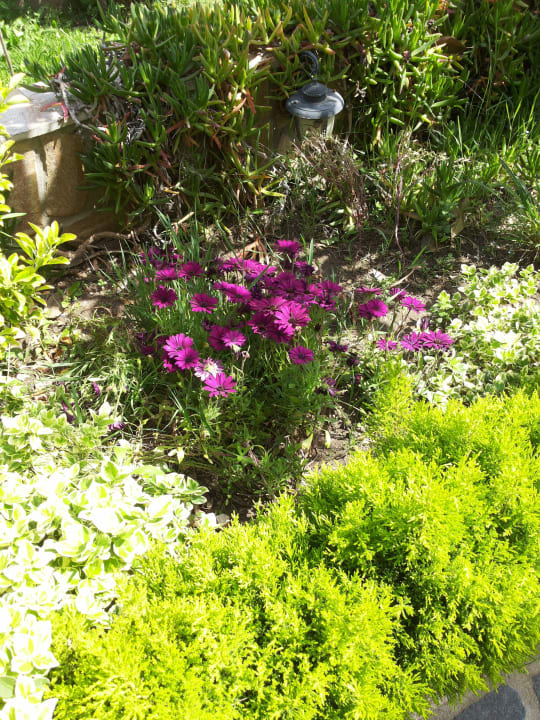 Photo3 Villa Camellia