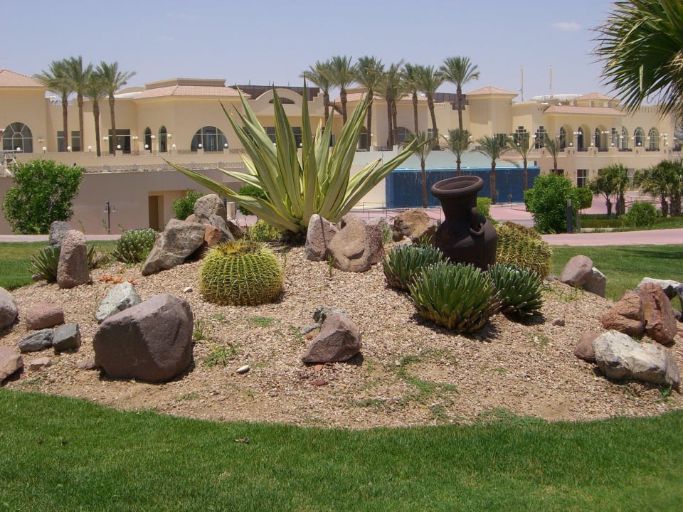 Garten Cleopatra Luxury Resort Makadi Bay