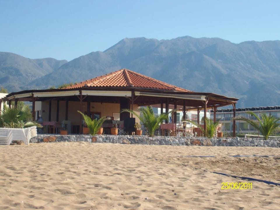 Strandbar Delfina Tropic Beach