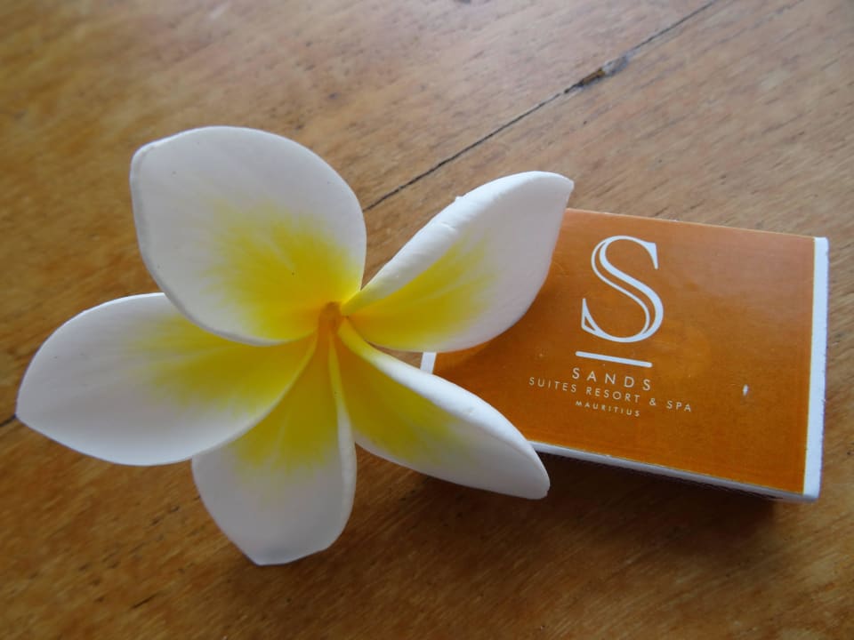 Schöne Blüte Sands Suites Resort & Spa