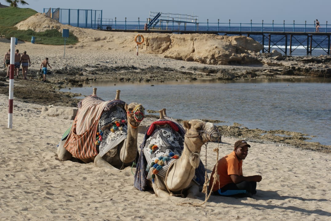 Strand Akassia Swiss Resort