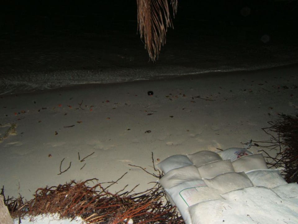 Strand Summer Island Maldives