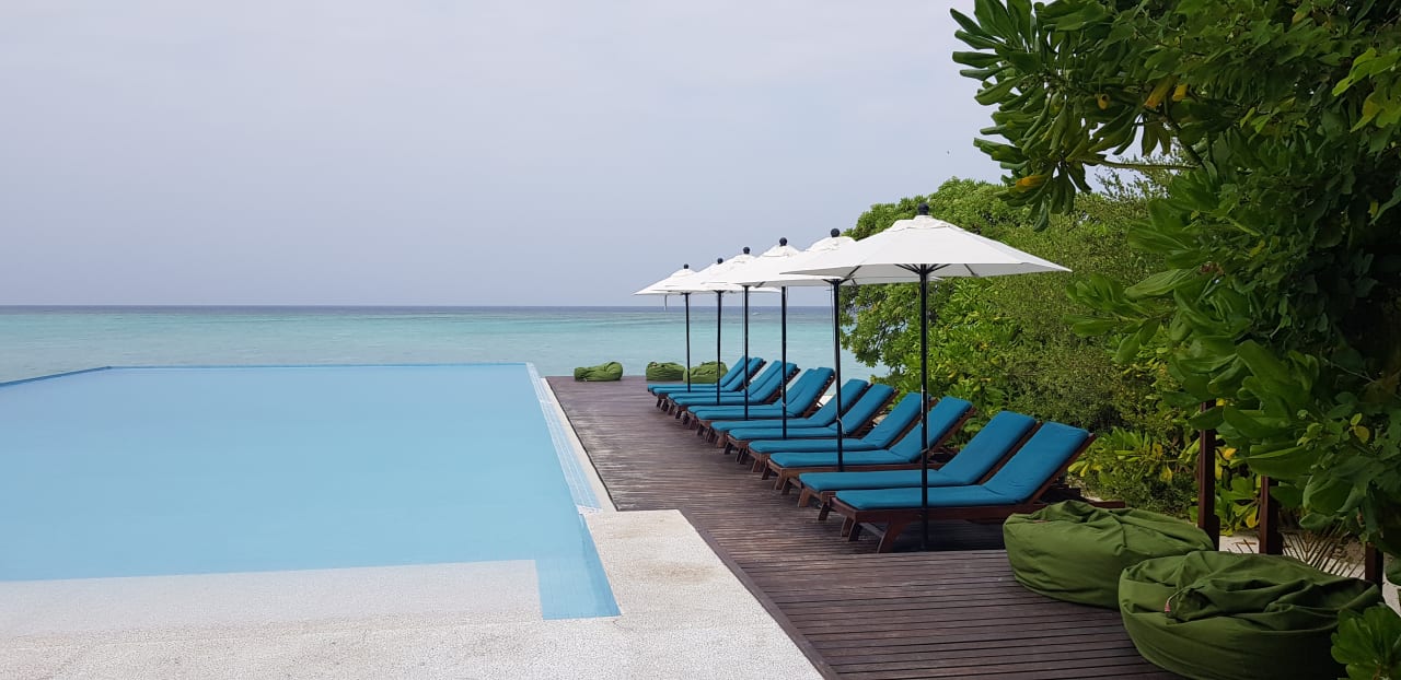 Pool Summer Island Maldives