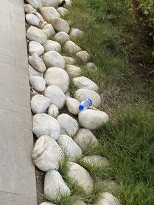 Gartenanlage TUI BLUE Xanthe