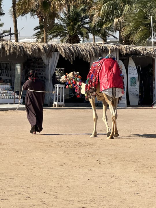 Strand Meraki Resort (Adults Only)