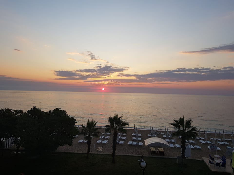 Strand Sentido Marea