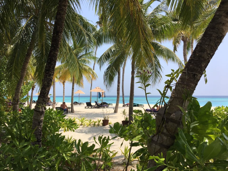 Strand Kuredu Island Resort & Spa