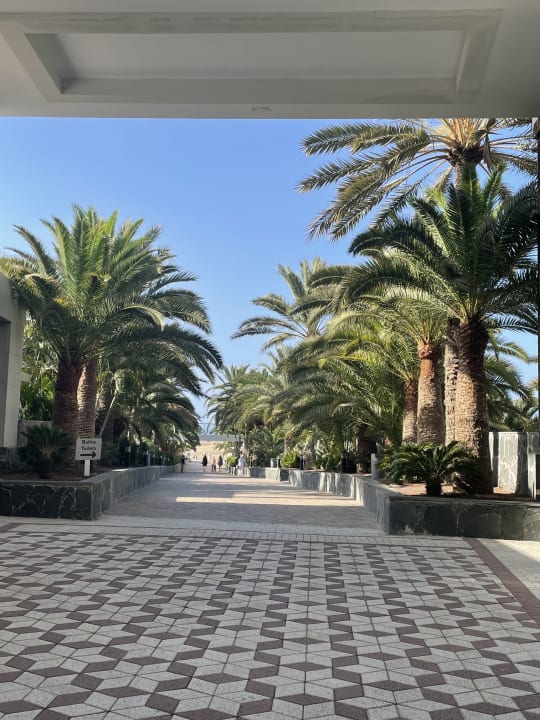 Ausblick Hotel Riu Palace Maspalomas Adults Only