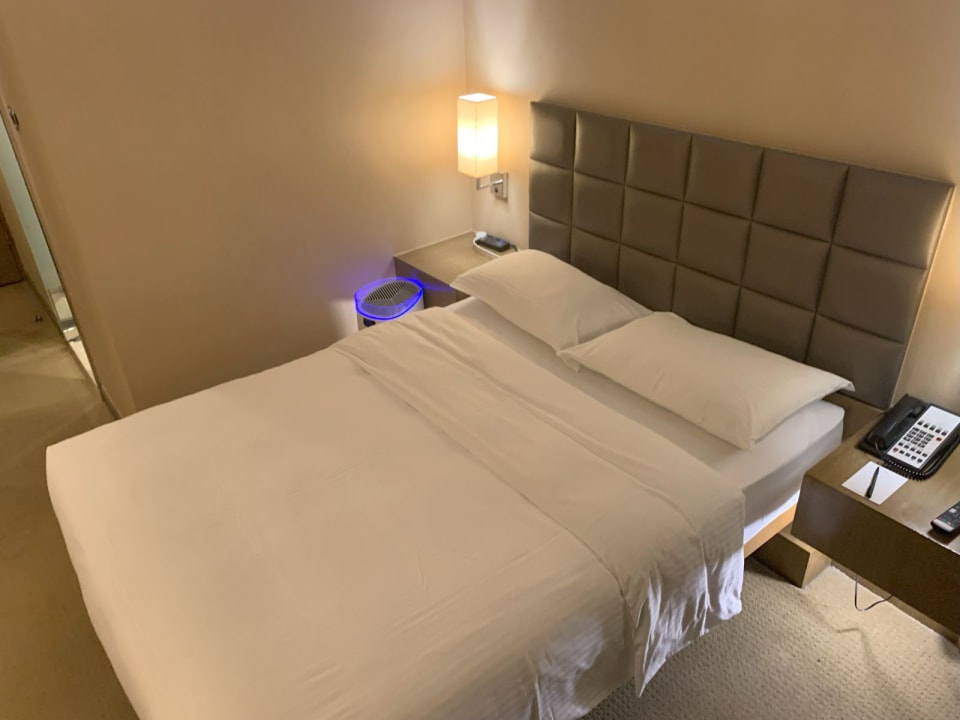 Zimmer The Kowloon Hotel