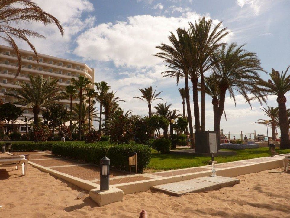Hotelanlage und Resort Hotel Riu Oliva Beach - Hotel