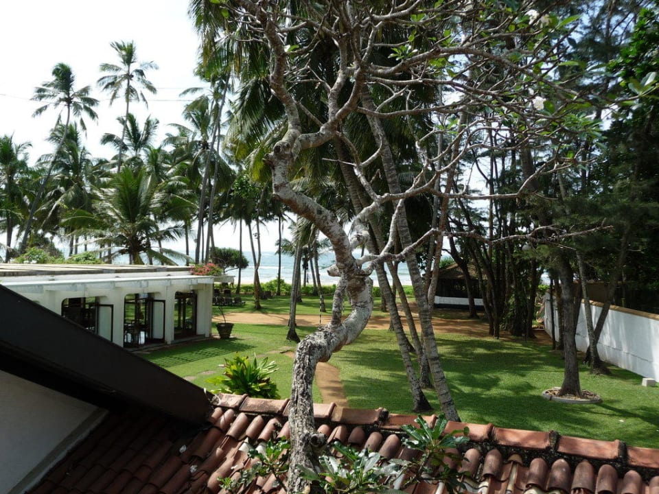 Ausblick Thaala Bentota
