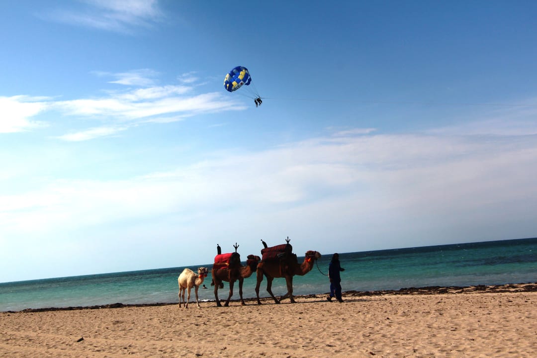 Strand Calimera Yati Beach
