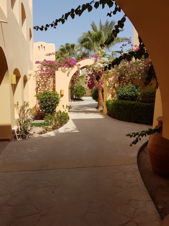 Gartenanlage Steigenberger Coraya Beach - Adults only