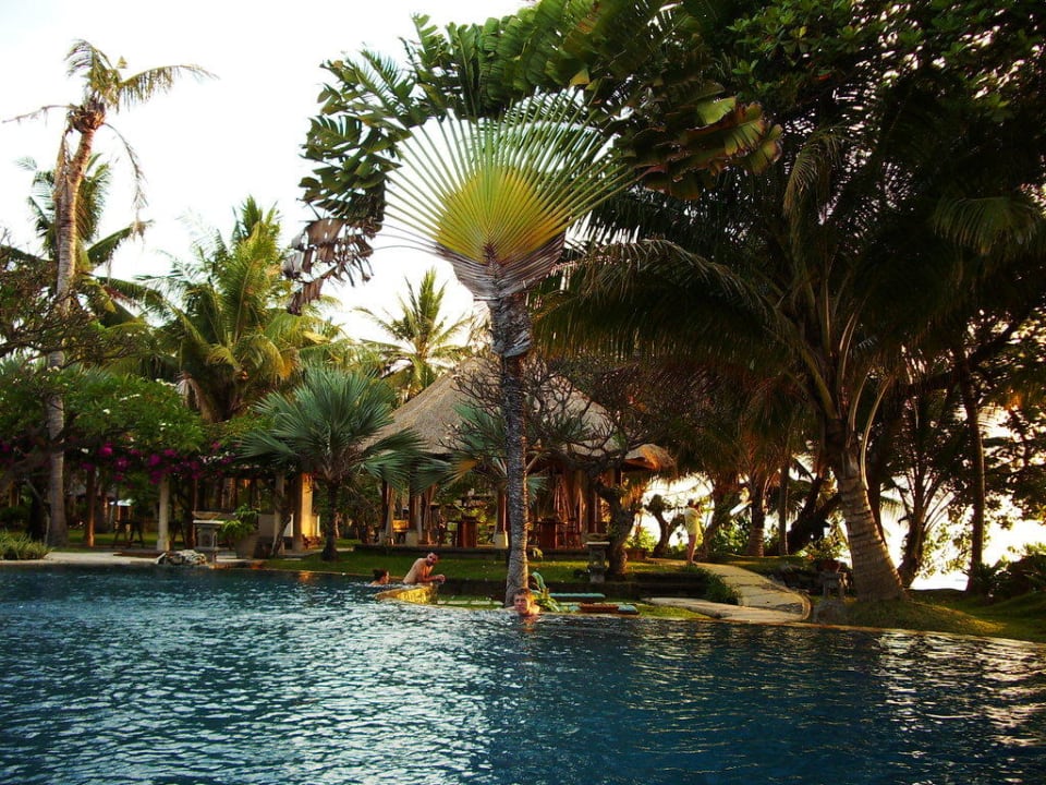 Pool Puri Bagus Lovina