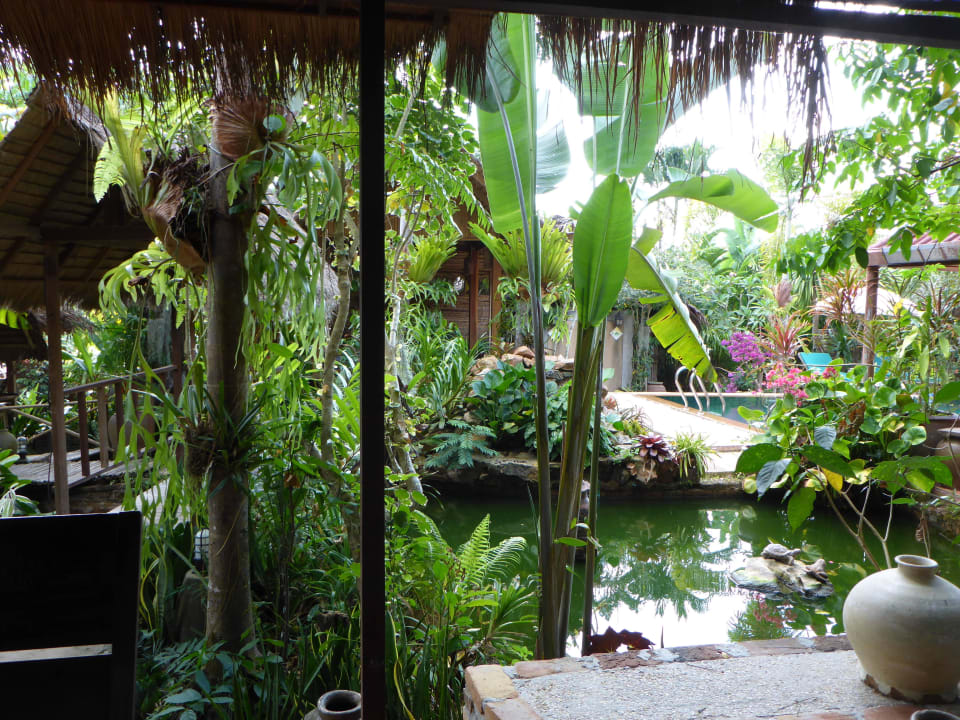 Im Garten Frog and Catfish Country Inn