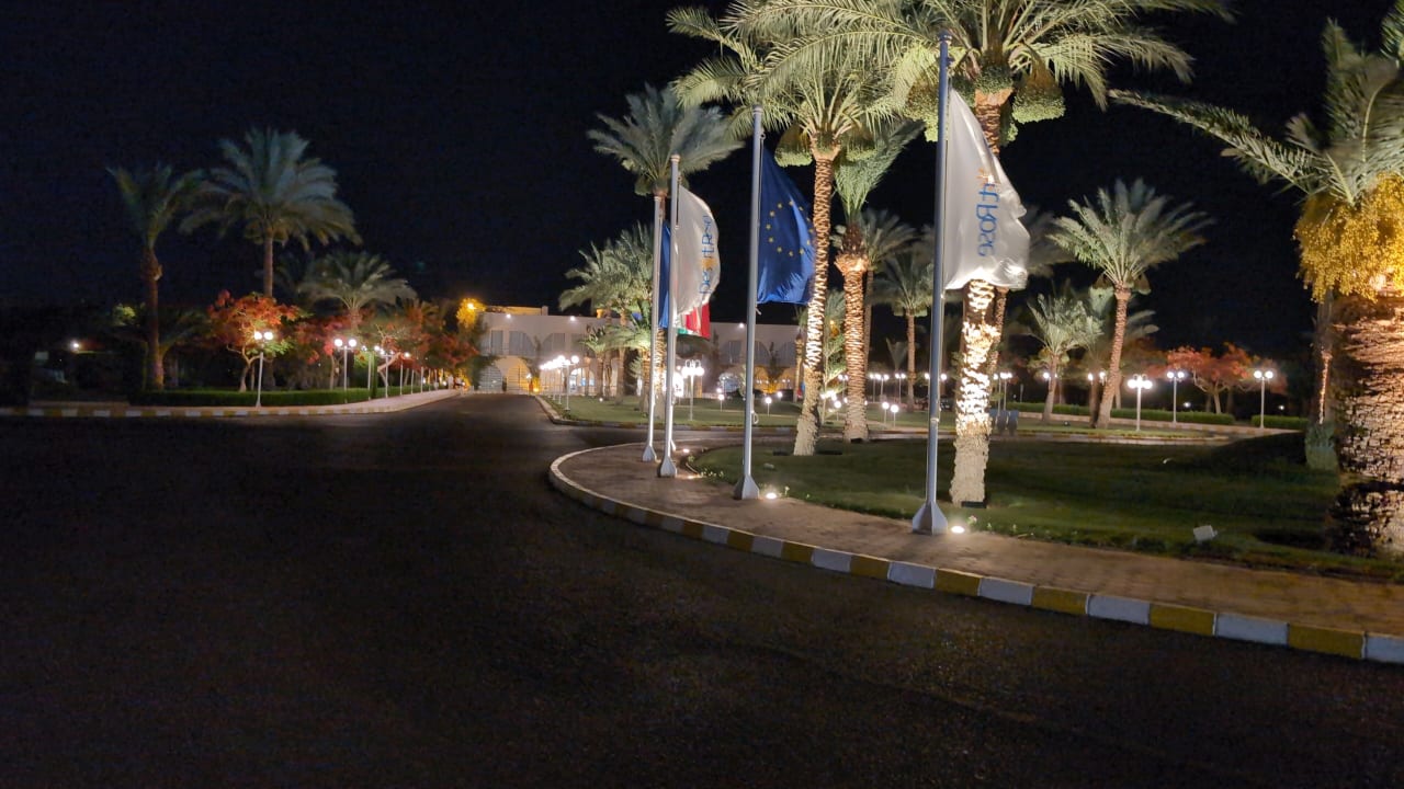 Gartenanlage Desert Rose