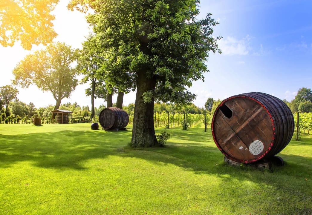 Ogród Schlosshotel Wiechlice
