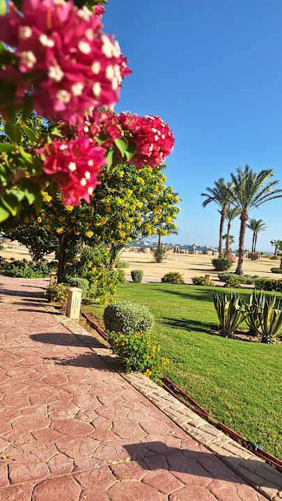 Gartenanlage Wadi Lahmy Azur Resort