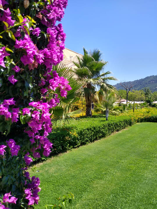 Außenansicht TUI MAGIC LIFE Calabria