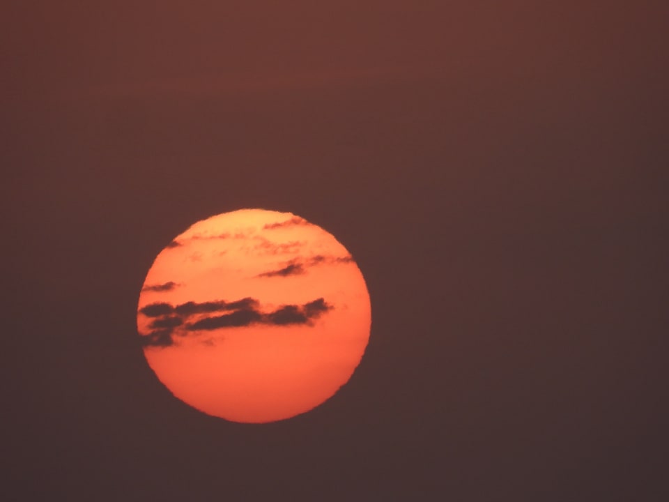 Ausblick Malikia Resort Abu Dabbab