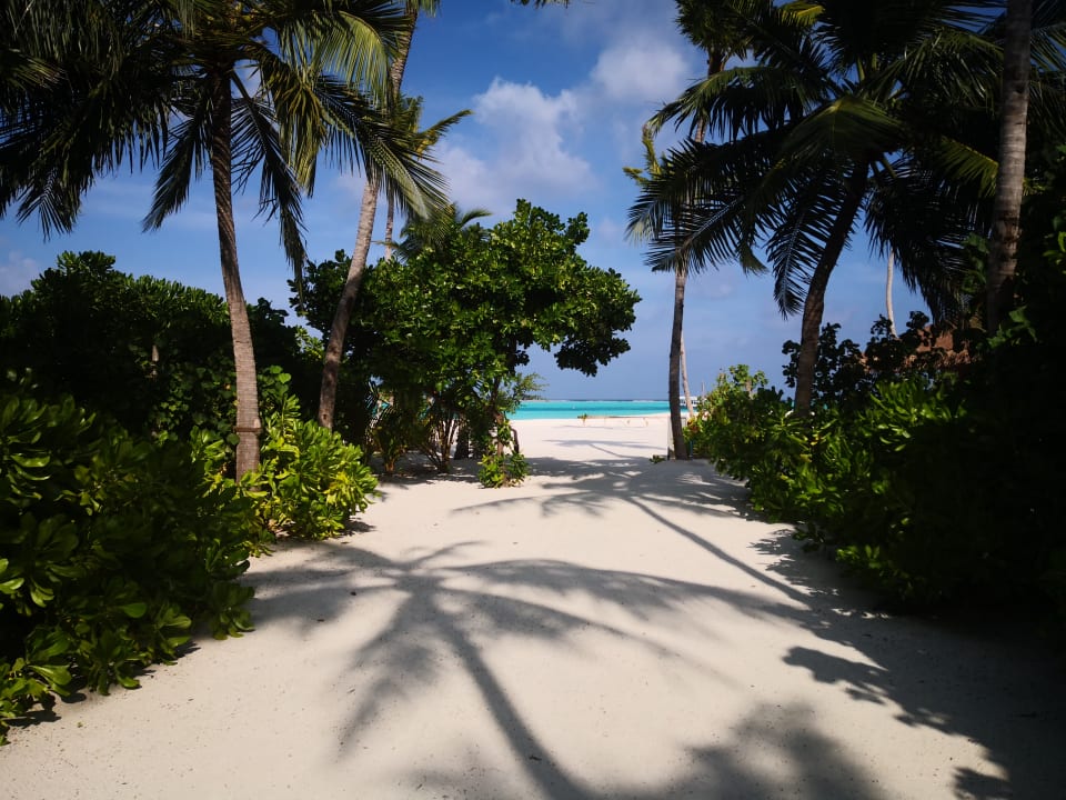 Gartenanlage Cinnamon Velifushi Maldives - Free One-Way Speedboat and 02 Kids Under 12 Stay & Dine Free