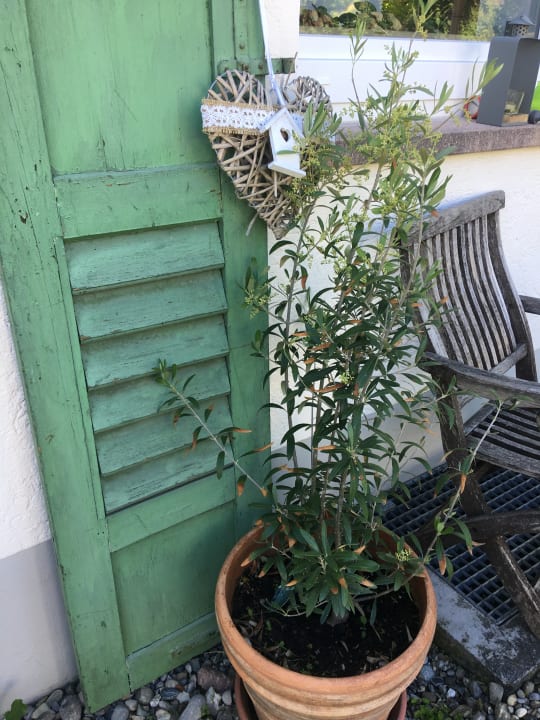 Sonstiges Ferienwohnung Seeliebe