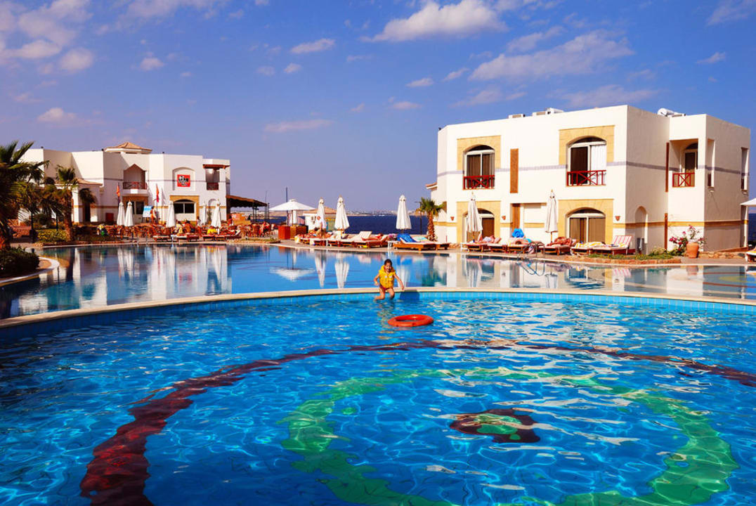 Heated Pool Amphoras Blu