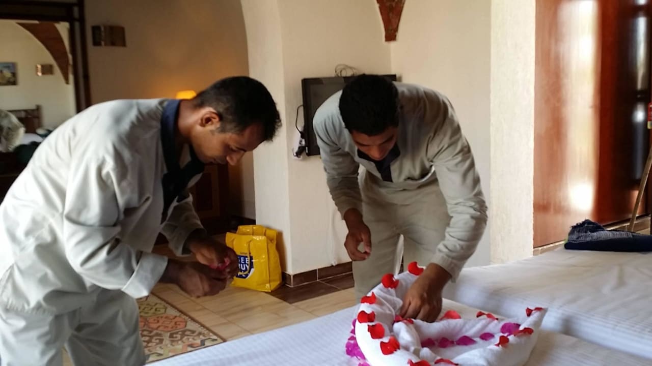 Atef und Emad beim Blumenbau Beach Safari Nubian Resort