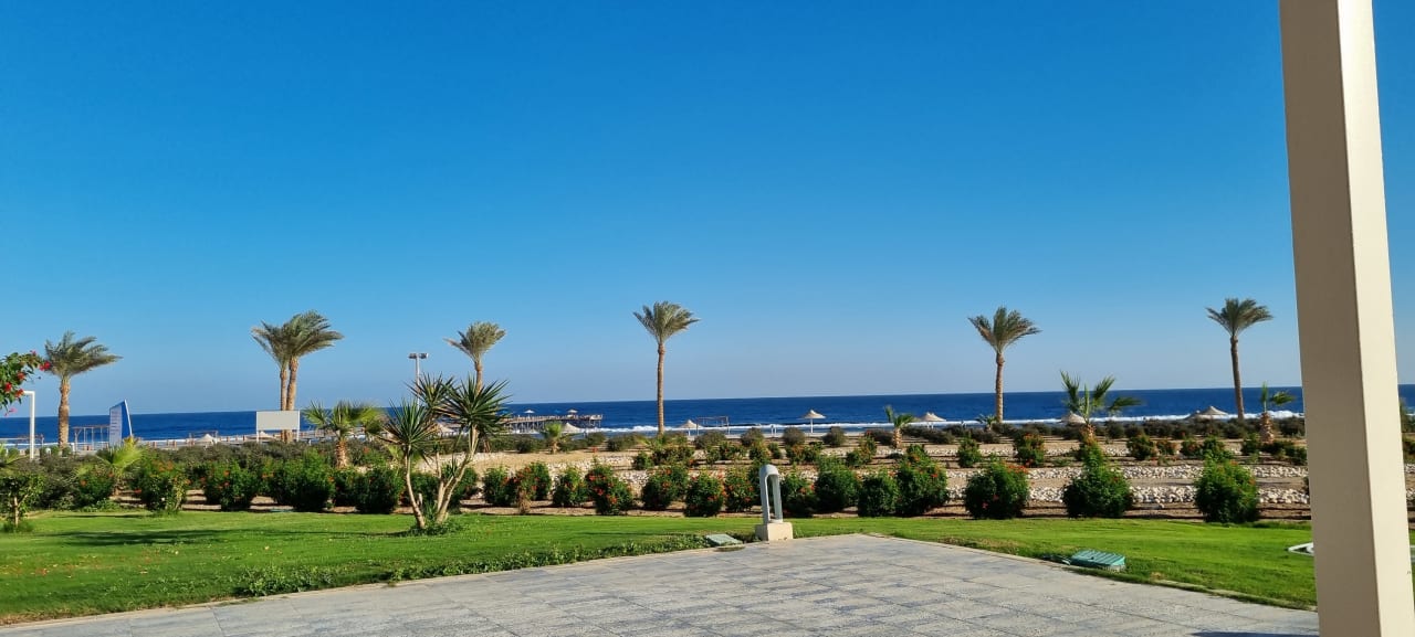 Zimmer Pickalbatros Sea World Resort - Marsa Alam