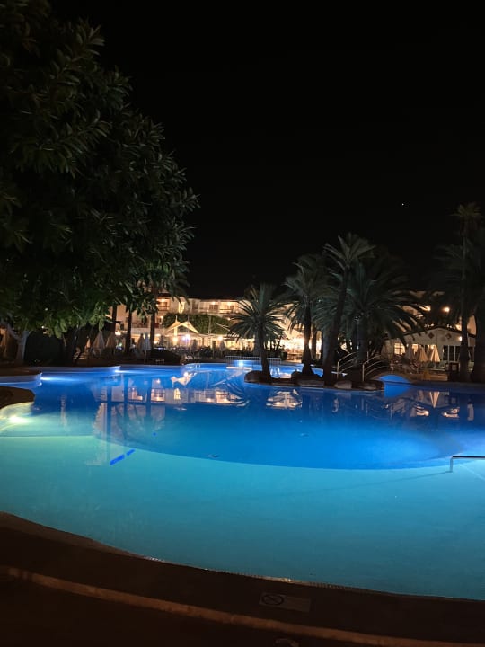 Pool Alcudia Garden Aparthotel