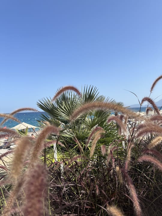 Gartenanlage Hotel Marti Myra Holiday Village