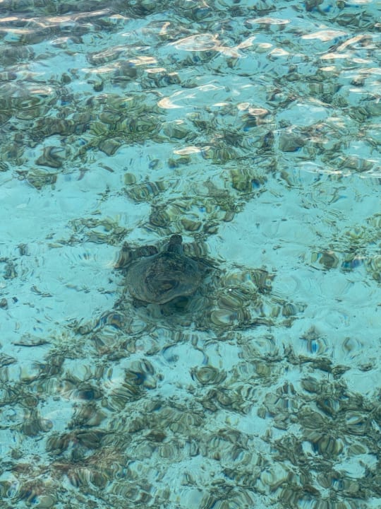 Sonstiges Komandoo Island Resort & Spa - Adults only