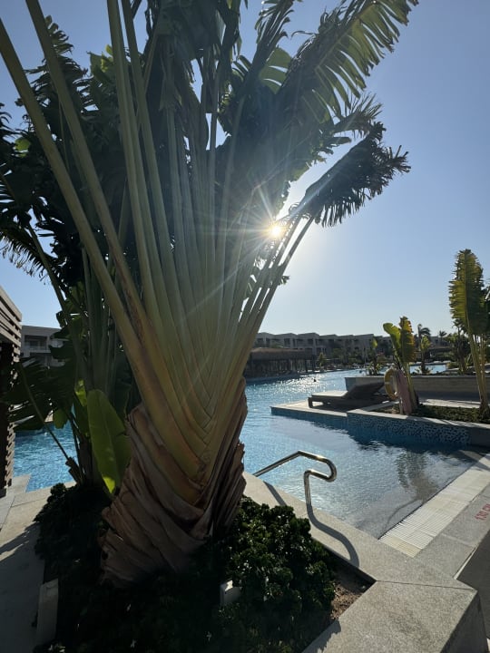 Pool Steigenberger Resort Ras Soma