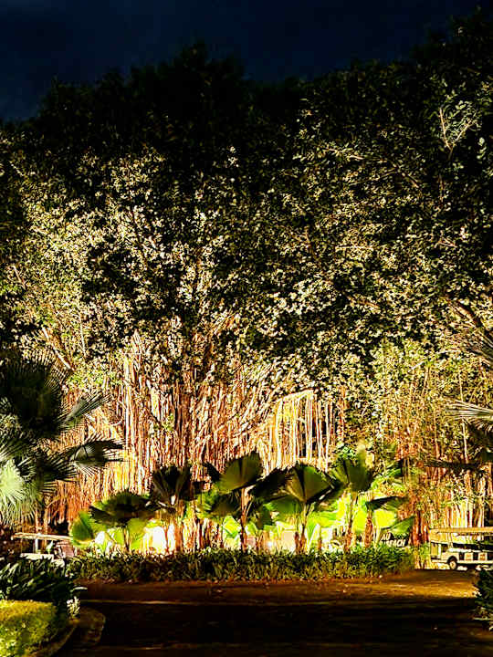 Sonstiges La Pirogue Mauritius