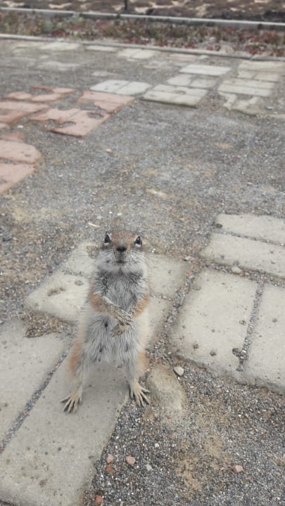 Sonstiges Hotel Las Marismas de Corralejo