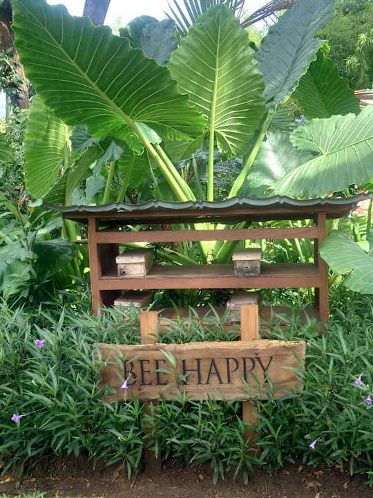 Gartenanlage Nusa Dua Beach Hotel & Spa