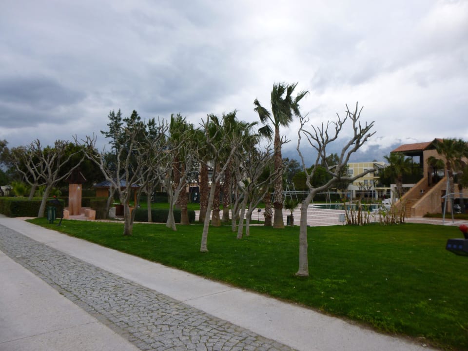 Tuin  Limak Limra Hotel & Resort